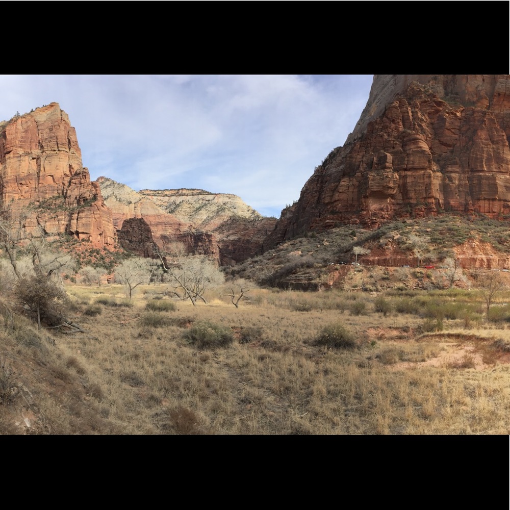 Meet your Posher, Dana